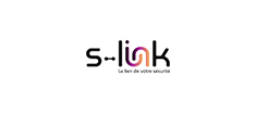 Grégory LE LIEVRE, Société S-LINK